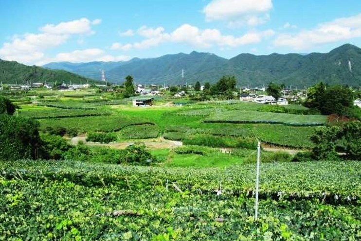 日本遺産 山梨